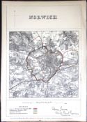 Norwich Norfolk Boundary Commission 157-Year-Old Coloured Antique Map.