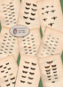 Job Lot Rev Morris British Moths 1896 Antique Hand-Coloured Lithographs -2.