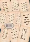 Job Lot Rev Morris British Moths 1896 Antique Hand-Coloured Lithographs -5.