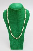 Cultured Pearl Necklace With 9ct Gold Clasp