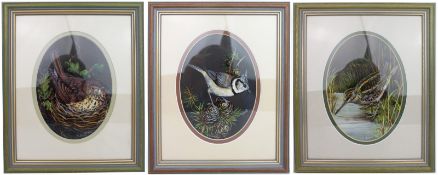 Group of 3 Fine Bird Paintings By Liz Garnett-Orme (British, Contemporary)