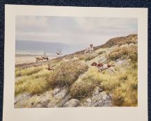 Roger McPhail Limited Edition Only 35 Published