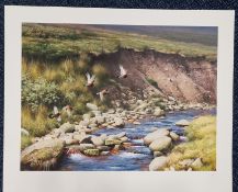 Roger McPhail Limited Edition Only 35 Published