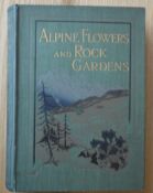 [Book][Gardening] Alpine Plants and Rock Gardens By Walter P Wright & W Graveson 1913 Colour Plat...