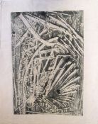 Frank Fidler 4 Abstract Artist From 1960s & 1970's Ferns