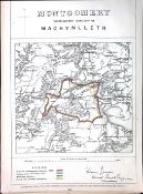 Powys Machynlleth District Wales Boundary Commission 157-Year-Old Antique Map.