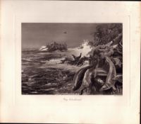Grey Seals Alarmed on The Cliff Rare Limited-Edition J.G. Millais Antique Print-44.
