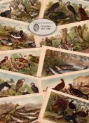 10 Antique Hand Coloured Engravings History of the Earth Nature Oliver Goldsmith.