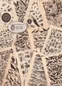 13 Antique Steel Engraved Prints History of the Earth and Animated Nature by Oliver Goldsmith-1.
