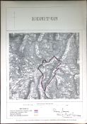 Honiton East Devon Boundary Commission 157-Year-Old Coloured Antique Map.