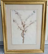 Almond Tree Original Watercolour Painting 1912