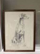 Vintage Print of A Weimaraner Dog, Likely By Pollyanna Pickering. Signed