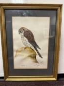 Richard Whittlestone, Original, Kestrels 1980, Signed and Dated