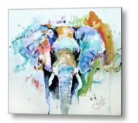 Splash of Colour Print By Steven Ponsford