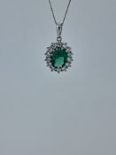 Silver cluster pendant and chain