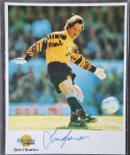 David Seaman Signed Photograph