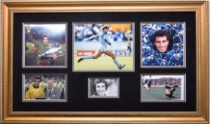 Peter Shilton Original Signature.