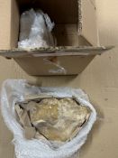 Set of 2 Kayu Petrified Wood Bookends, Natural, AM.PM. Ref 2183425 / GOD673