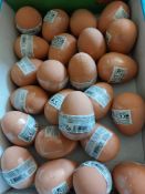 Bouncy Eggs From Paperchase RRP £1.50 Each Box of 24