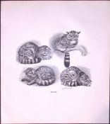 Wild Cats Sketches Rare 121 Years-Old Limited-Edition J.G. Millais Antique Print.