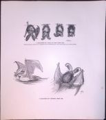 Long Eared Bat Swimming Rare Limited-Edition J.G. Millais Antique Print.