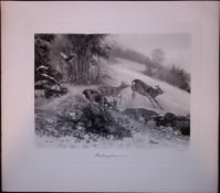 Deer Breaking For Cover Rare Limited-Edition Antique JG Millais Print