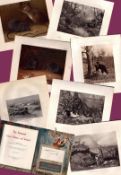 Job-Lot Scarce Limited-Edition Coloured J.G. Millais Antique Mammals Prints-4