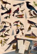 Job lot Alexander Wilson Rare American Birds Copper Plate Engravings-4.