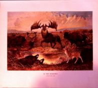 Magnificent Stag Family In The Meadows Rare Limited-Edition Antique Print