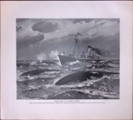 Hunting The Rorqual Whales Rare Limited-Edition J.G. Millais Antique Print.