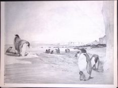 Wilson's Birds of the Antarctic Vintage Emperor Penguins Illustrations 10.