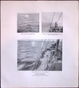 Chasing The Common Rorqual Whale Rare Limited-Edition Antique Print.