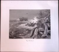 Grey Seals Alarmed Rare 121 Years-Old Limited-Edition J.G. Millais Antique Print.