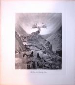 The Stag Dawn Of Man Rare 121 Years-Old Limited-Edition J.G. Millais Antique Print