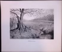 Rabbits at Home Rare 121 Years-Old Limited-Edition Antique JG Millais Print