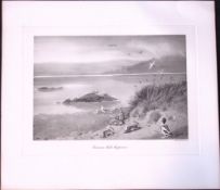 Common Seals Suspicious Rare 121 Years-Old Limited-Edition J.G. Millais Antique Print.