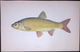 Ide Scarce Antique 1877 J. Couch Woodblock Engraving-137