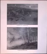 Daubenton’s Bats Evening Flight Rare Limited-Edition J.G. Millais Antique Print.