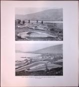Pilot Whales In Shetland Rare Limited-Edition J.G. Millais Antique Print.