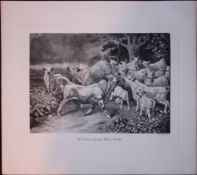 The White Cattle Herd Rare 121 Years-Old Limited-Edition Antique JG Millais Print.