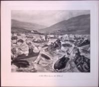 Whale Hunt in The Shetlands Rare Limited-Edition J.G. Millais Antique Print.