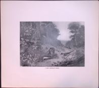 Weasel Unpopular Rare 121 Years-Old Limited-Edition J.G. Millais Antique Print.