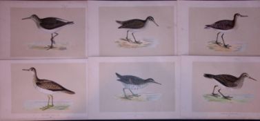 Job-Lot Rev Morris Antique 170-Year-Old Sandpipers Bird Engravings-1