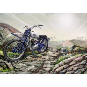 1960 Greeves Scottish Trials Bike Large Metal Wall Art