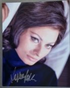 Sophia Loren Signed Photograph