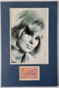Dusty Springfield Original Signature In Mounted Display
