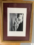 Photography Artwork By Bill Phillip