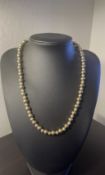 14k Yellow Gold 3-5mm Bead Chain Necklace