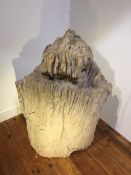 Large Unique 240 Million Year Old Petrified Wood