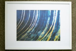 The Wave